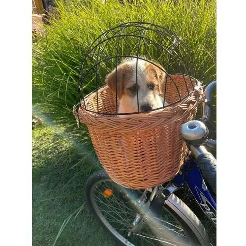 Kosz wiklinowy na rower dla Psa-kota do 10kg