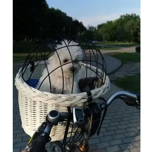 Koszyk Wiklinowy na Rower Transporter Pies do 10kg