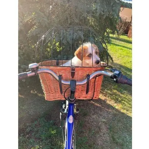 Transporter wiklinowy na rower dla psa-kota do10kg