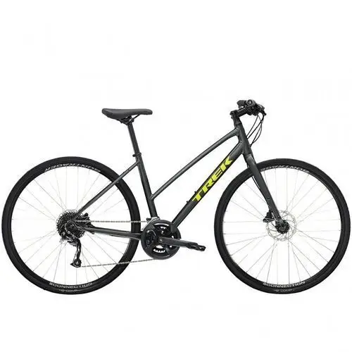 Trek FX 2 Disc 2023 Damski Satin Lithium Grey S