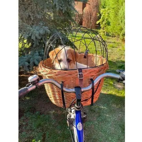 Wiklinowy koszyk na rower dla Psa-kota do 10kg